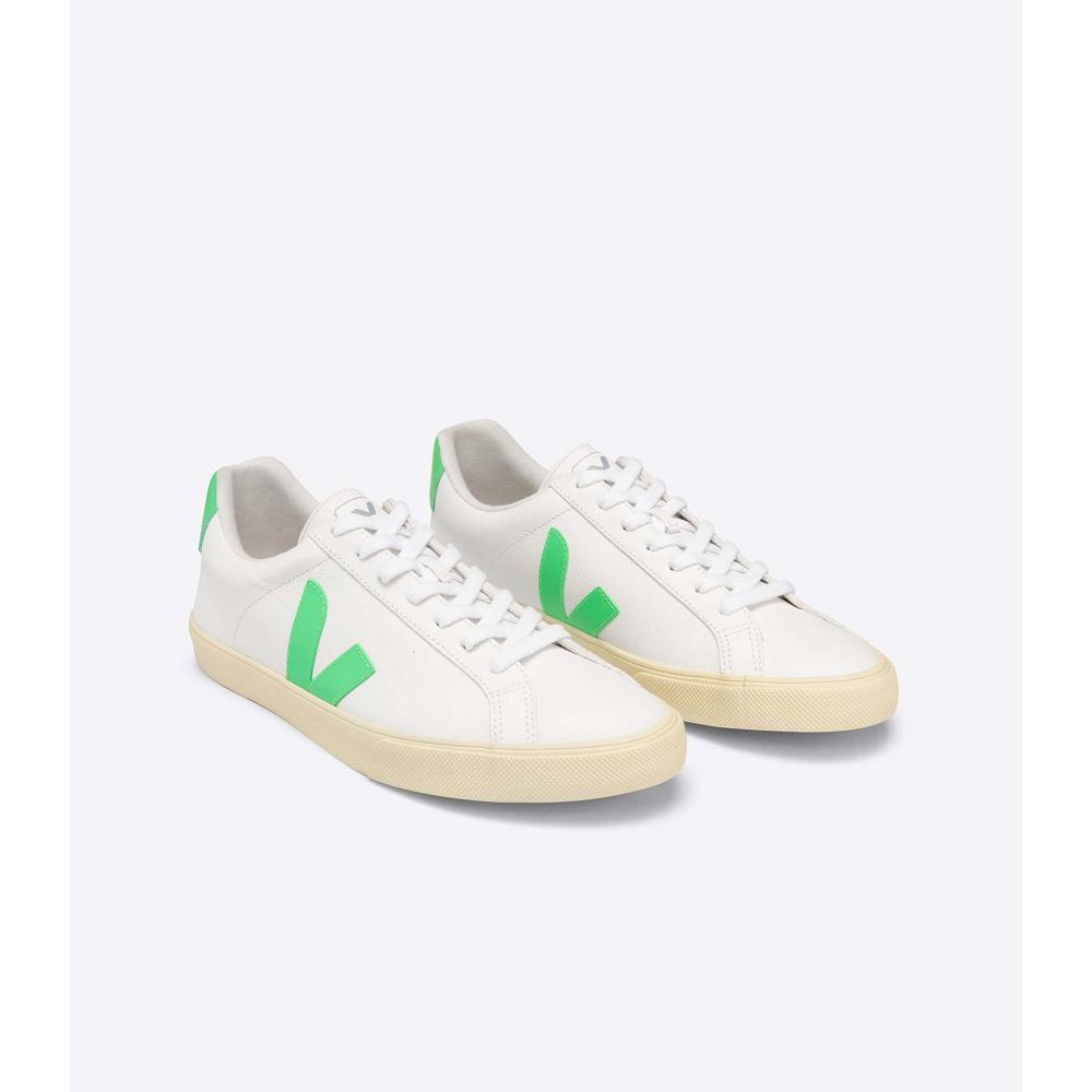 Veja ESPLAR CHROMEFREE BUTTER-SOLE Men's Sneakers White | CA 301BEX